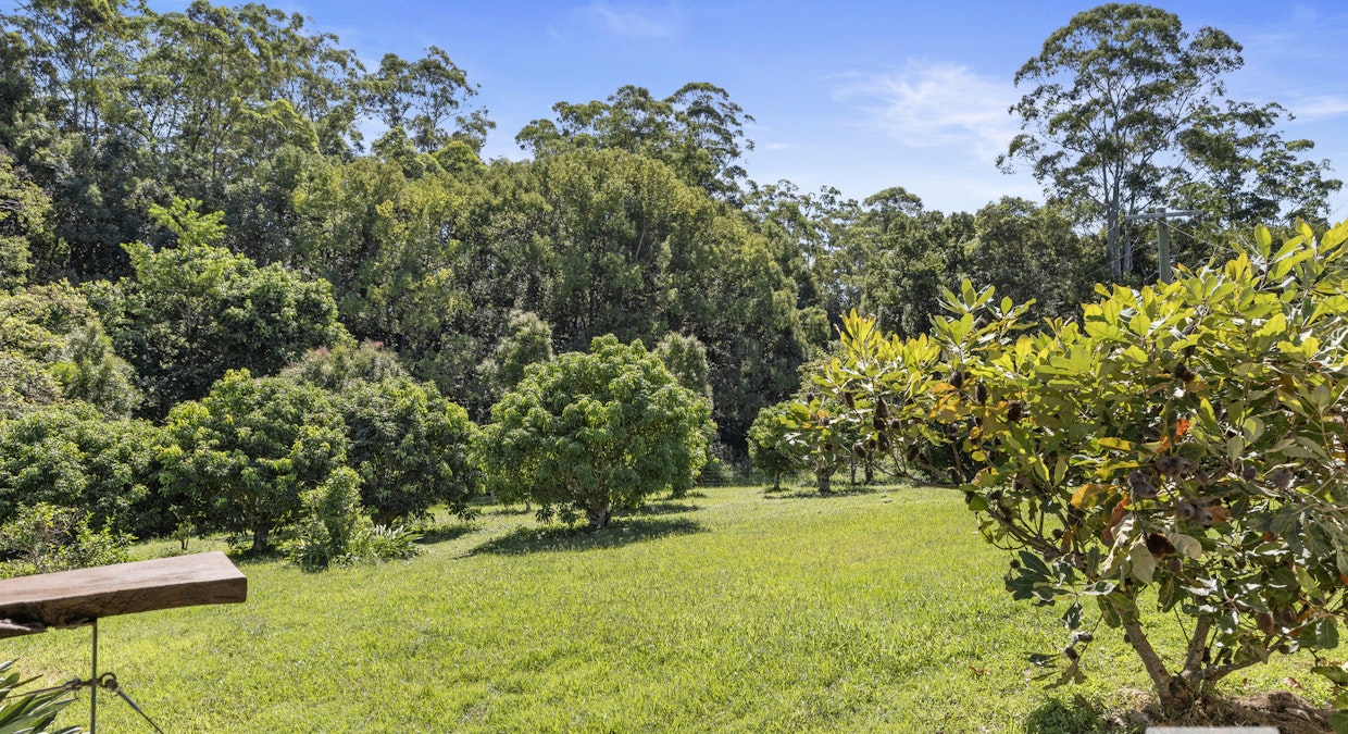 774 Smiths Creek Road, Stokers Siding, NSW, 2484 - Image 5