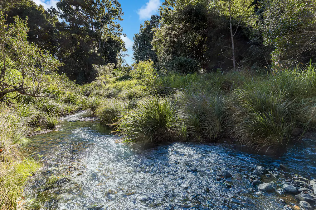 239 Rowlands Creek Road, Uki, NSW, 2484 - Image 12