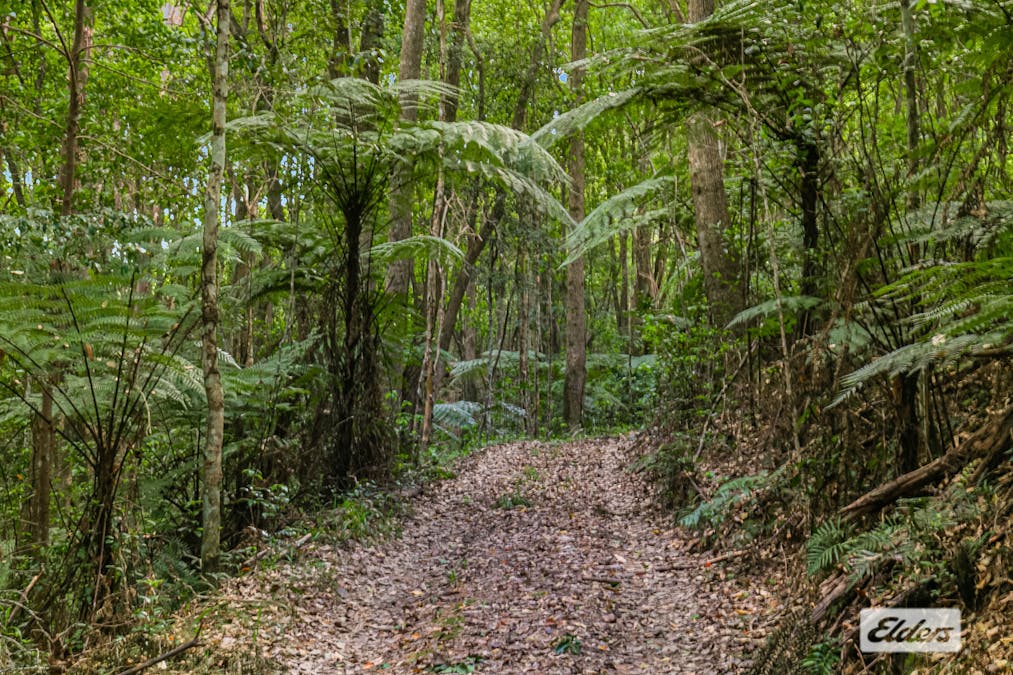 92 Nolans Road, Stokers Siding, NSW, 2484 - Image 28