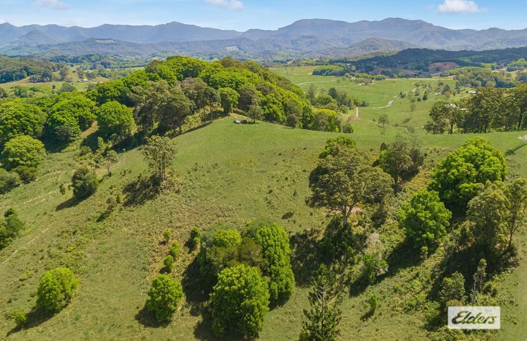 444 Numinbah Road, Nobbys Creek, NSW, 2484 - Image 4