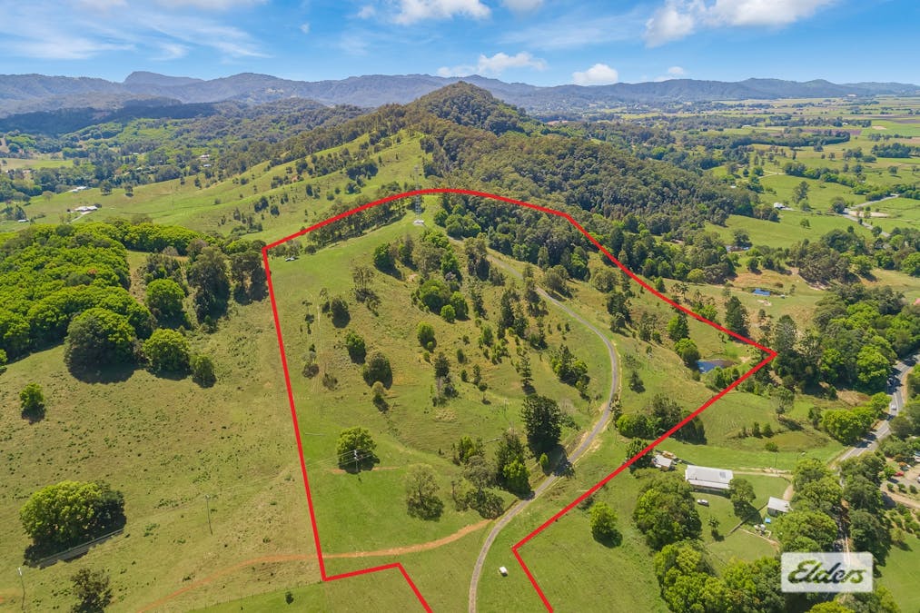 444 Numinbah Road, Nobbys Creek, NSW, 2484 - Image 2