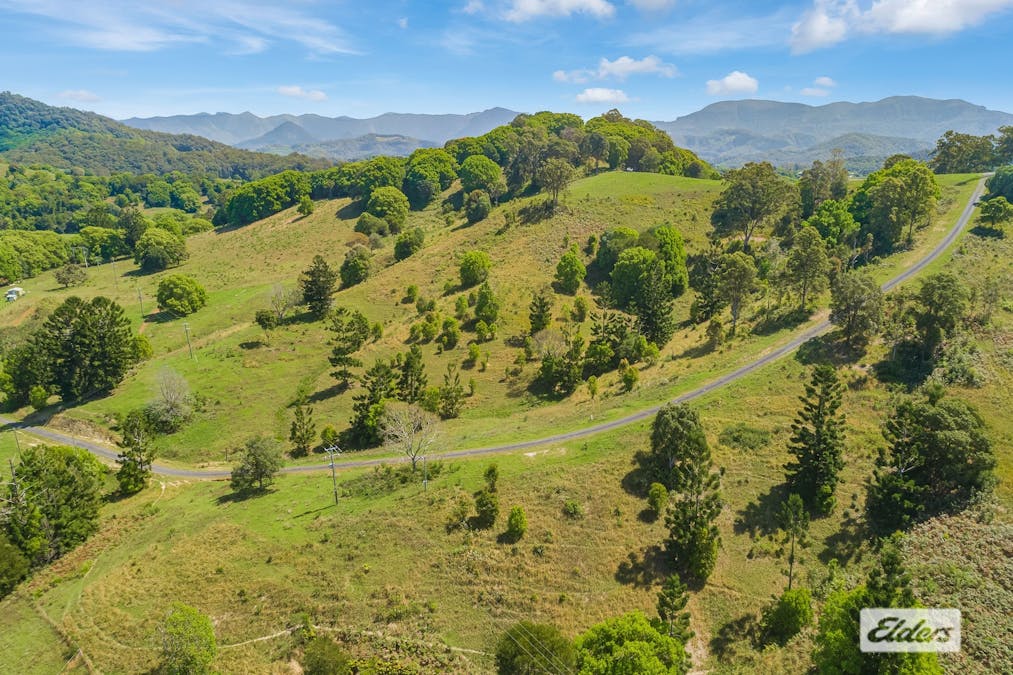 444 Numinbah Road, Nobbys Creek, NSW, 2484 - Image 11