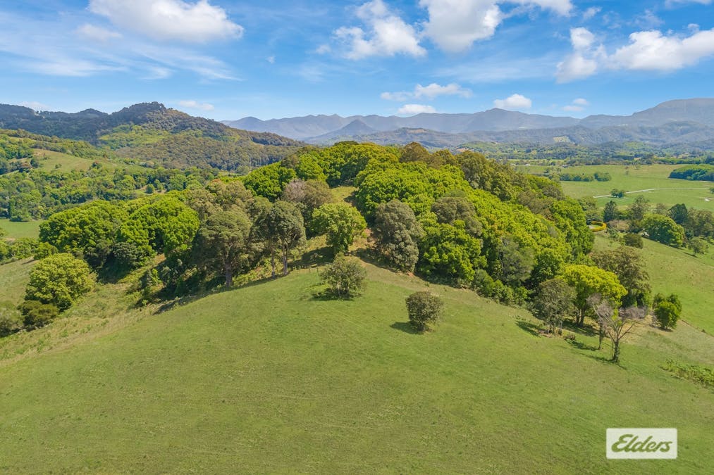 444 Numinbah Road, Nobbys Creek, NSW, 2484 - Image 12