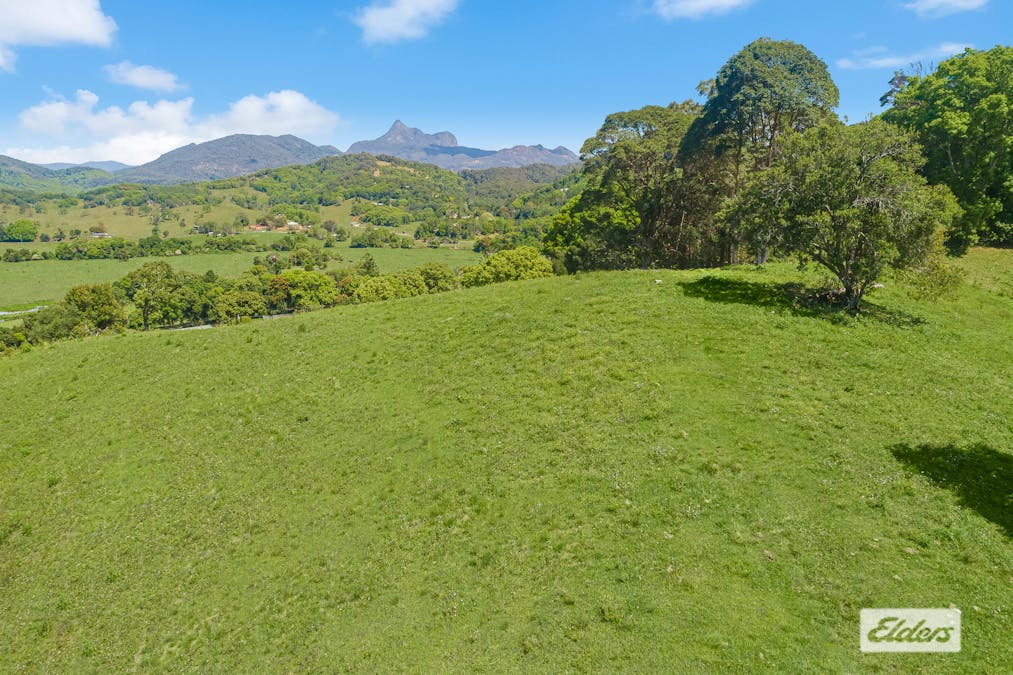 444 Numinbah Road, Nobbys Creek, NSW, 2484 - Image 13