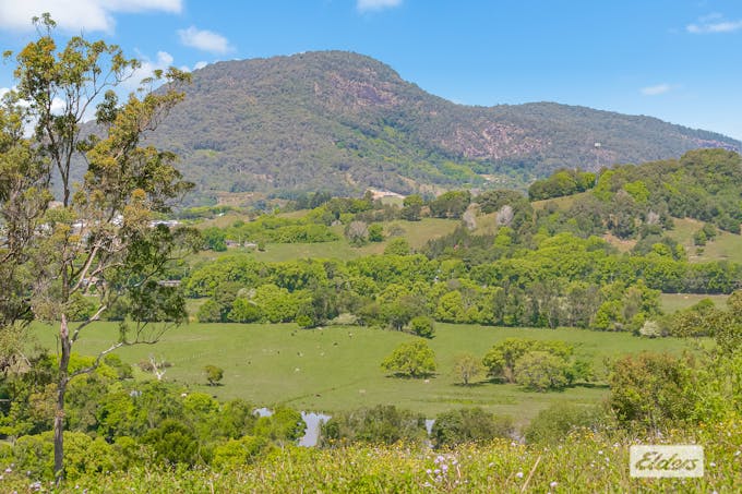 444 Numinbah Road, Nobbys Creek, NSW, 2484 - Image 1