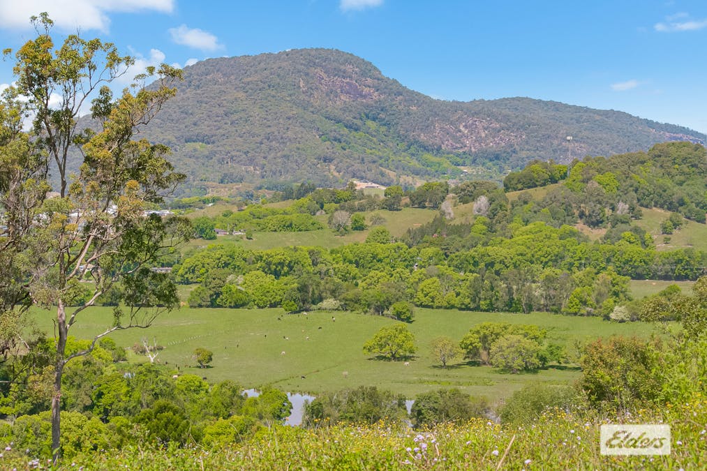 444 Numinbah Road, Nobbys Creek, NSW, 2484 - Image 1