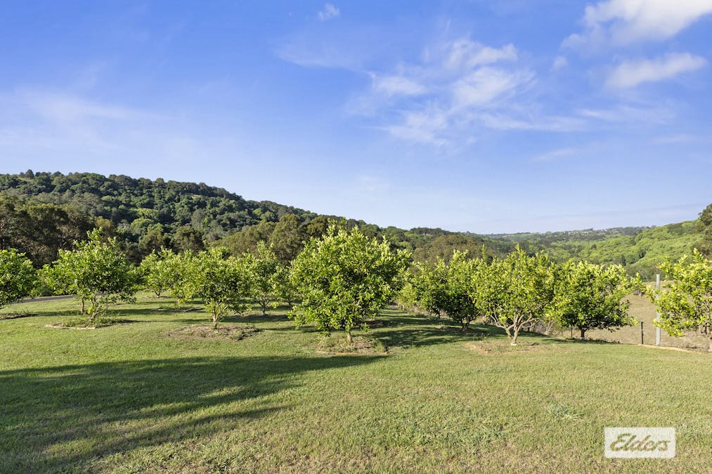 221  Duroby Creek Road, Duroby, NSW, 2486 - Image 23