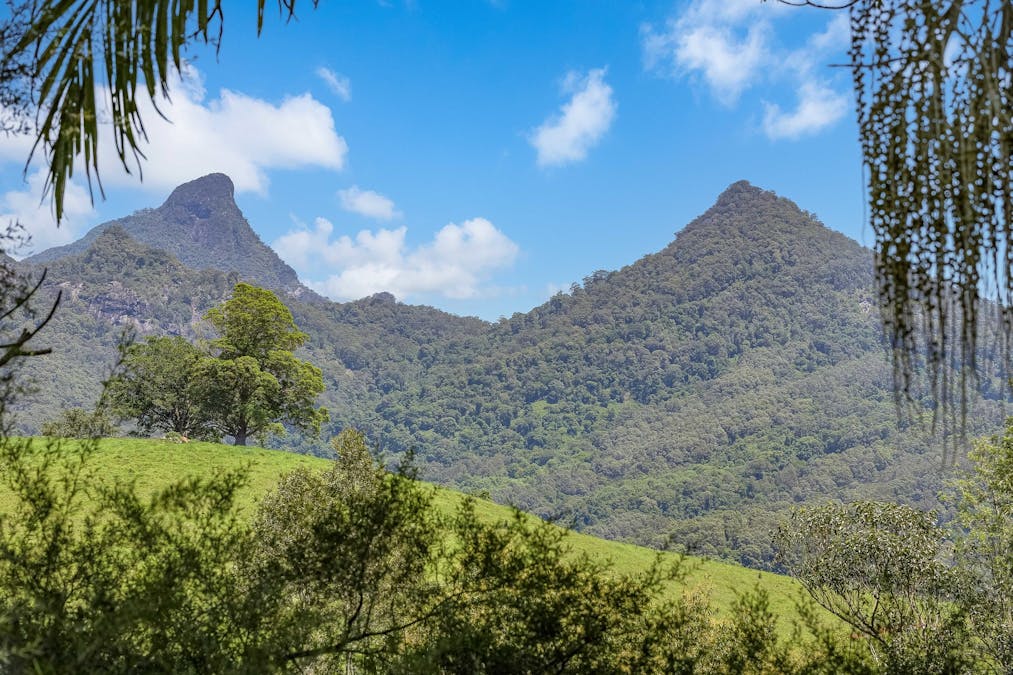71a Rowlands Creek Road, Rowlands Creek, NSW, 2484 - Image 2