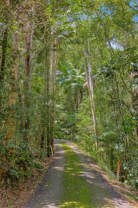 71a Rowlands Creek Road, Rowlands Creek, NSW, 2484 - Image 22