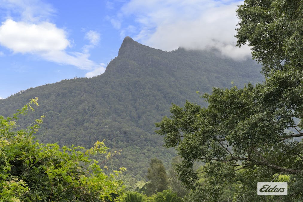 215 South Pumpenbil Road, Pumpenbil, NSW, 2484 - Image 15