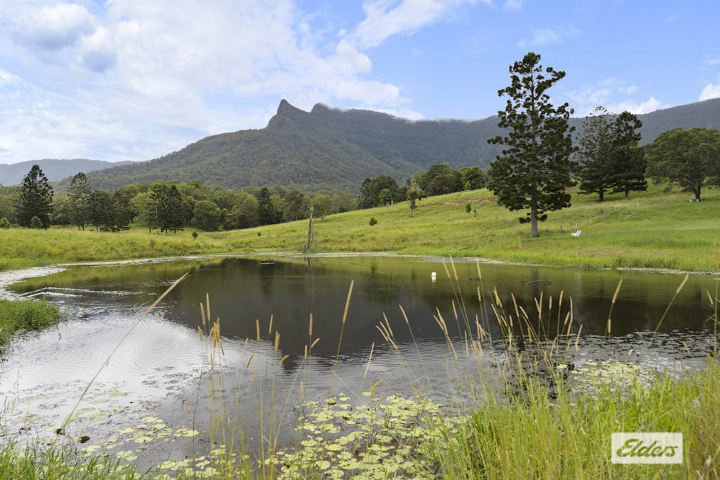 215 South Pumpenbil Road, Pumpenbil, NSW, 2484 - Image 21