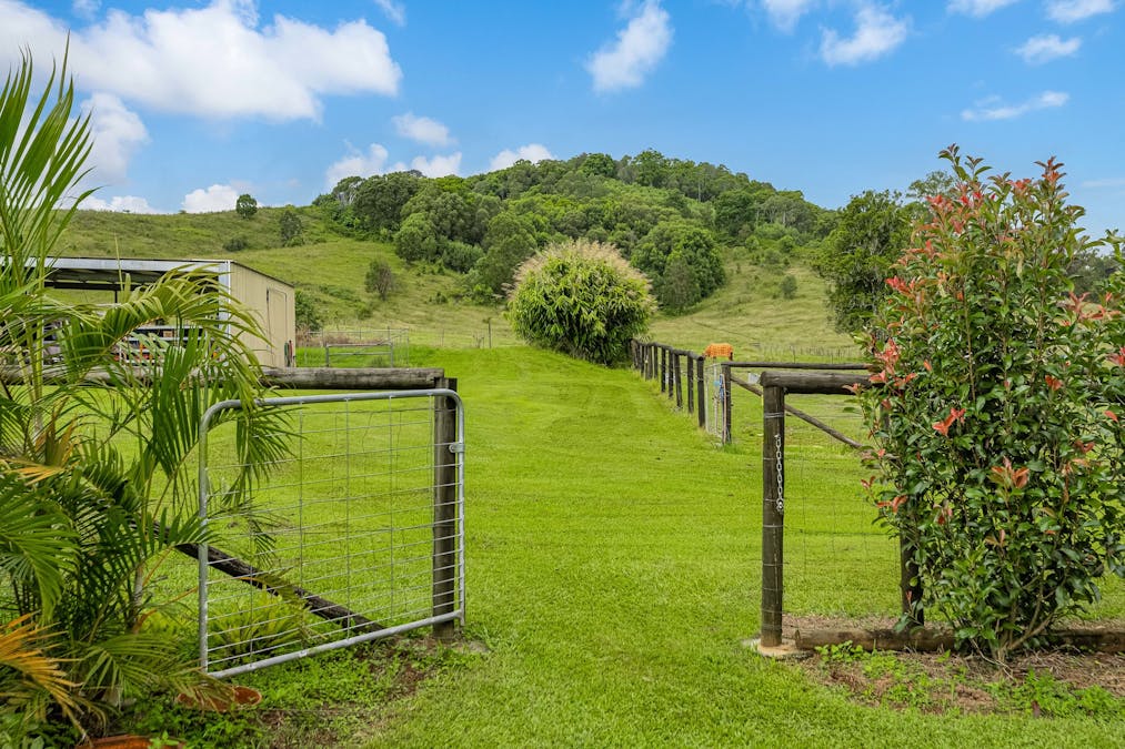 605 Numinbah Road, North Arm, NSW, 2484 - Image 15
