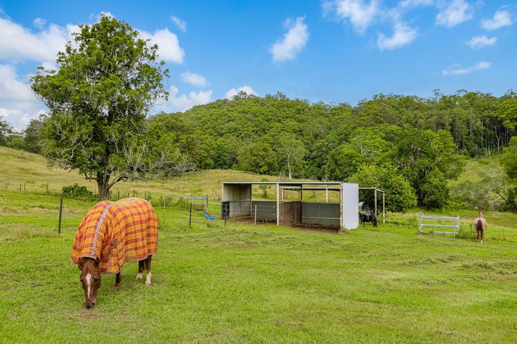 605 Numinbah Road, North Arm, NSW, 2484 - Image 20