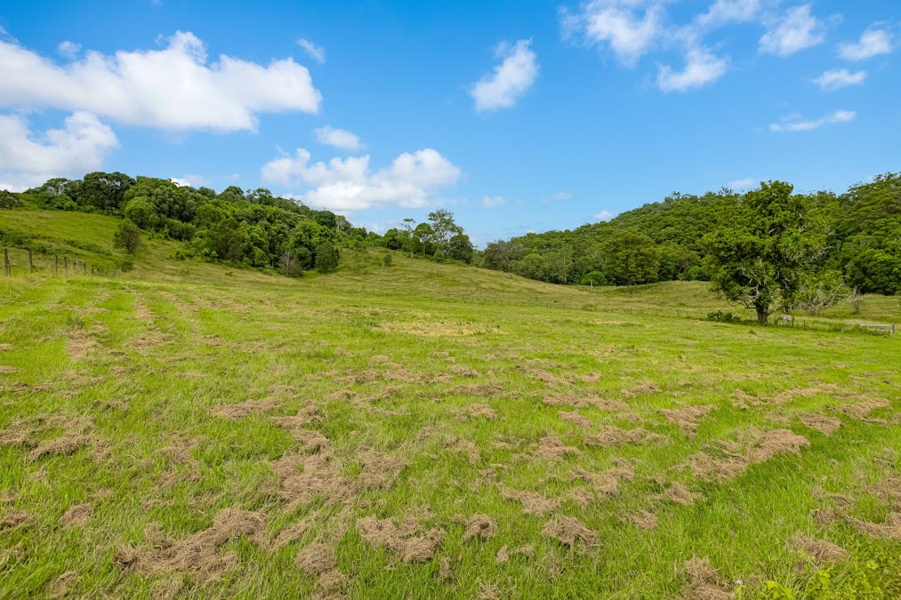 605 Numinbah Road, North Arm, NSW, 2484 - Image 19