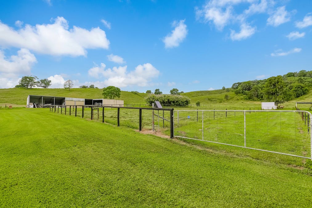 605 Numinbah Road, North Arm, NSW, 2484 - Image 17