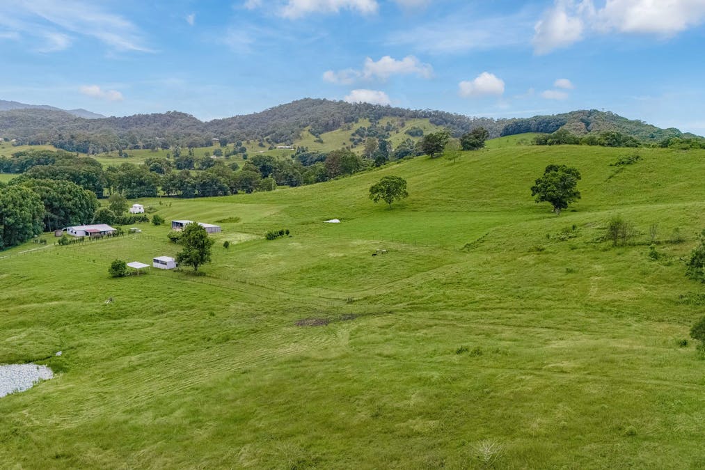 605 Numinbah Road, North Arm, NSW, 2484 - Image 2