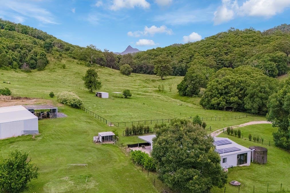 605 Numinbah Road, North Arm, NSW, 2484 - Image 14