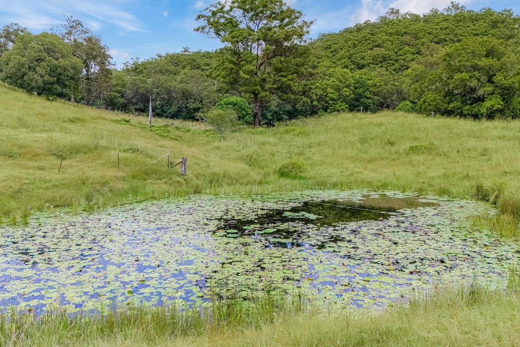 605 Numinbah Road, North Arm, NSW, 2484 - Image 25