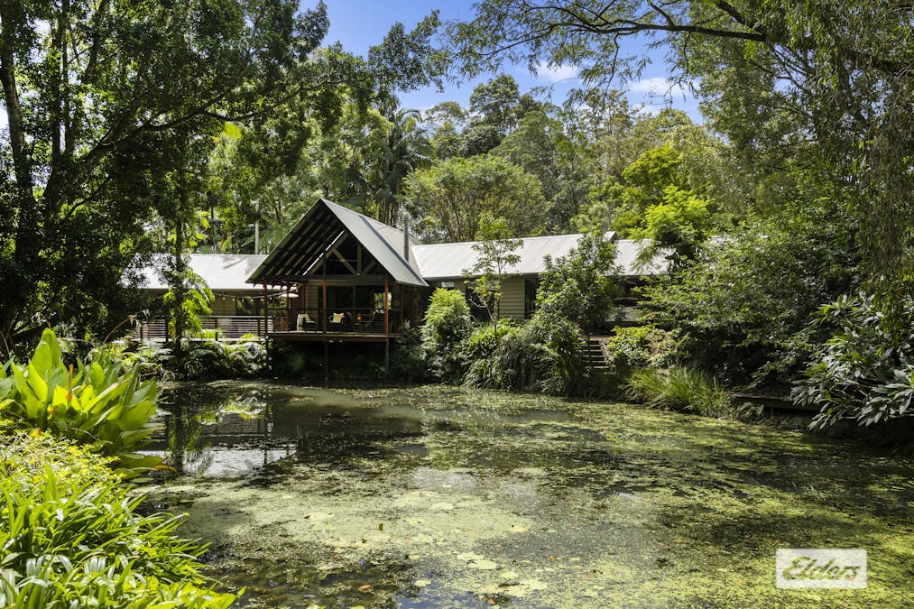 409  Kunghur Creek Road, Kunghur Creek, NSW, 2484 - Image 28