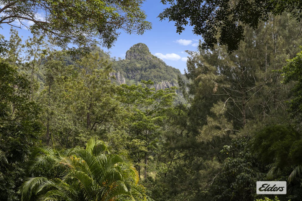 409  Kunghur Creek Road, Kunghur Creek, NSW, 2484 - Image 22