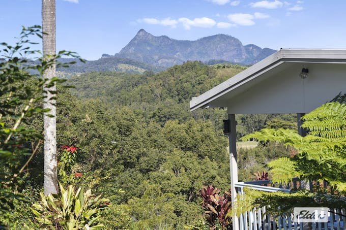 1678 Numinbah Road, Numinbah, NSW, 2484 - Image 1