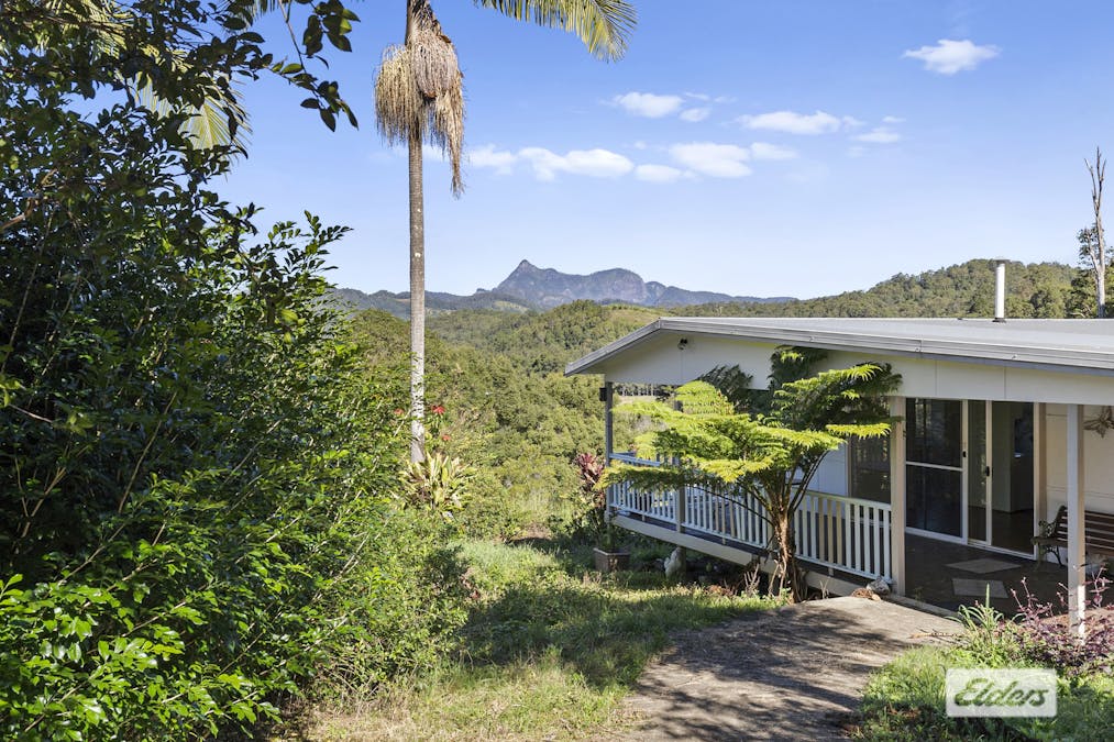 1678 Numinbah Road, Numinbah, NSW, 2484 - Image 13