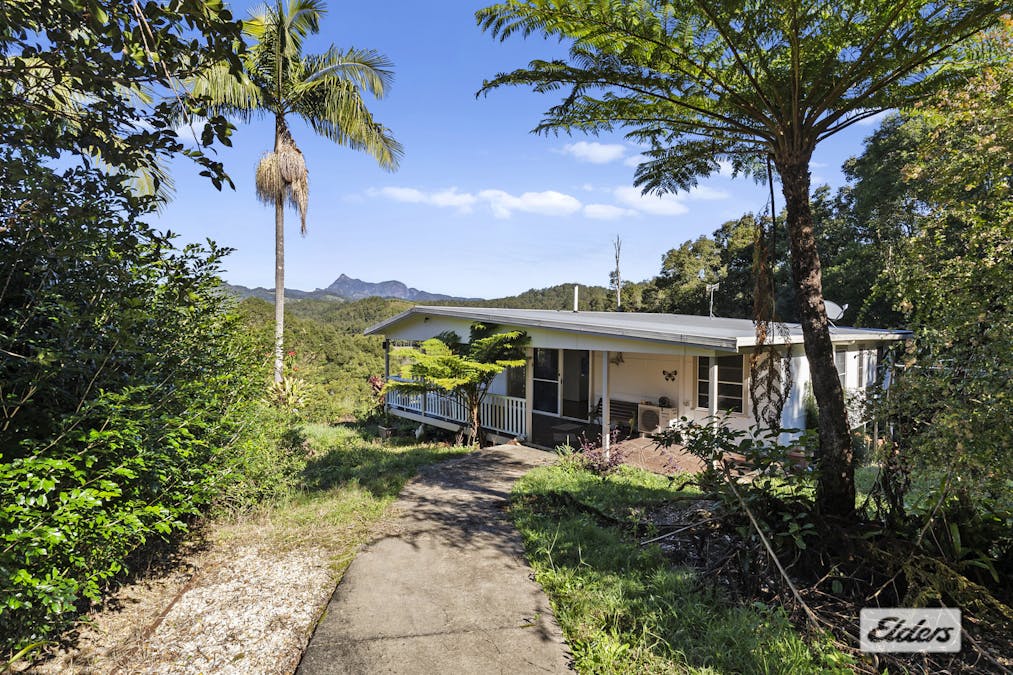 1678 Numinbah Road, Numinbah, NSW, 2484 - Image 6