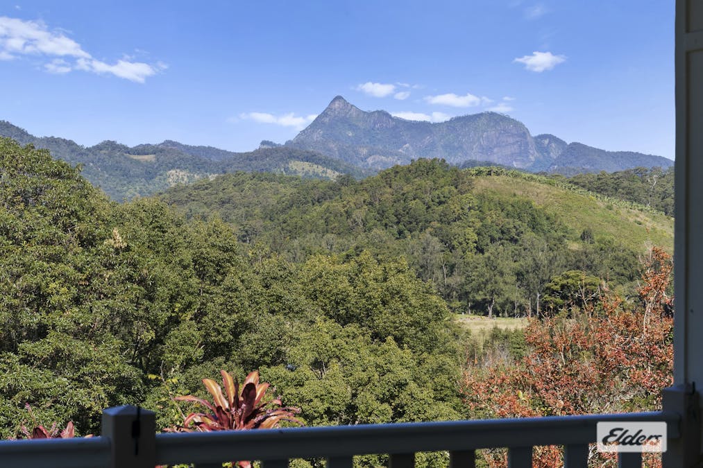 1678 Numinbah Road, Numinbah, NSW, 2484 - Image 5