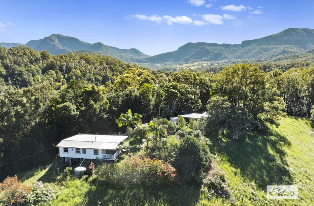 1678 Numinbah Road, Numinbah, NSW, 2484 - Image 2