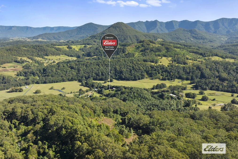 1678 Numinbah Road, Numinbah, NSW, 2484 - Image 15