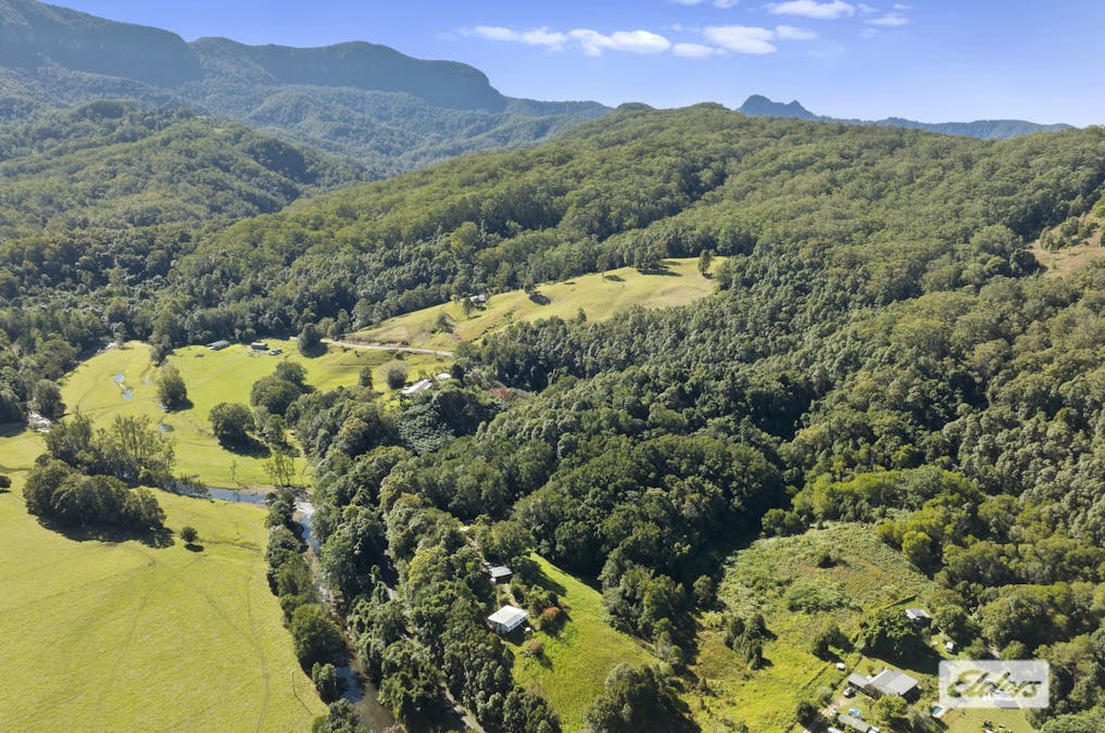 1678 Numinbah Road, Numinbah, NSW, 2484 - Image 16