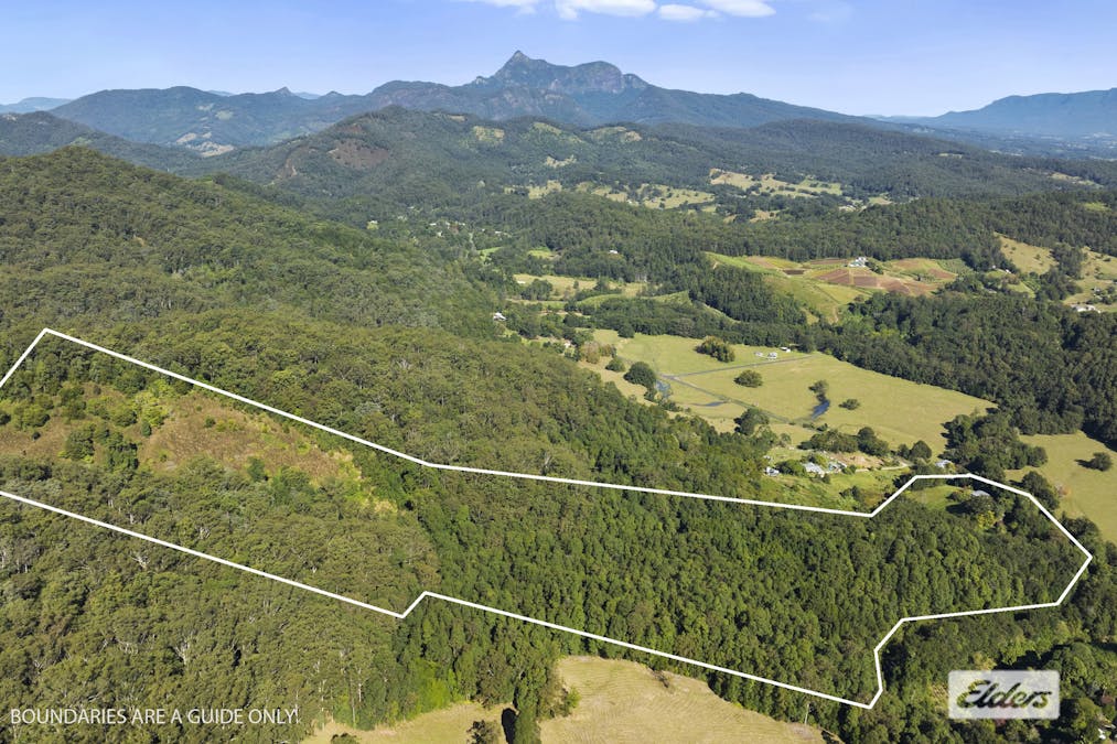 1678 Numinbah Road, Numinbah, NSW, 2484 - Image 17