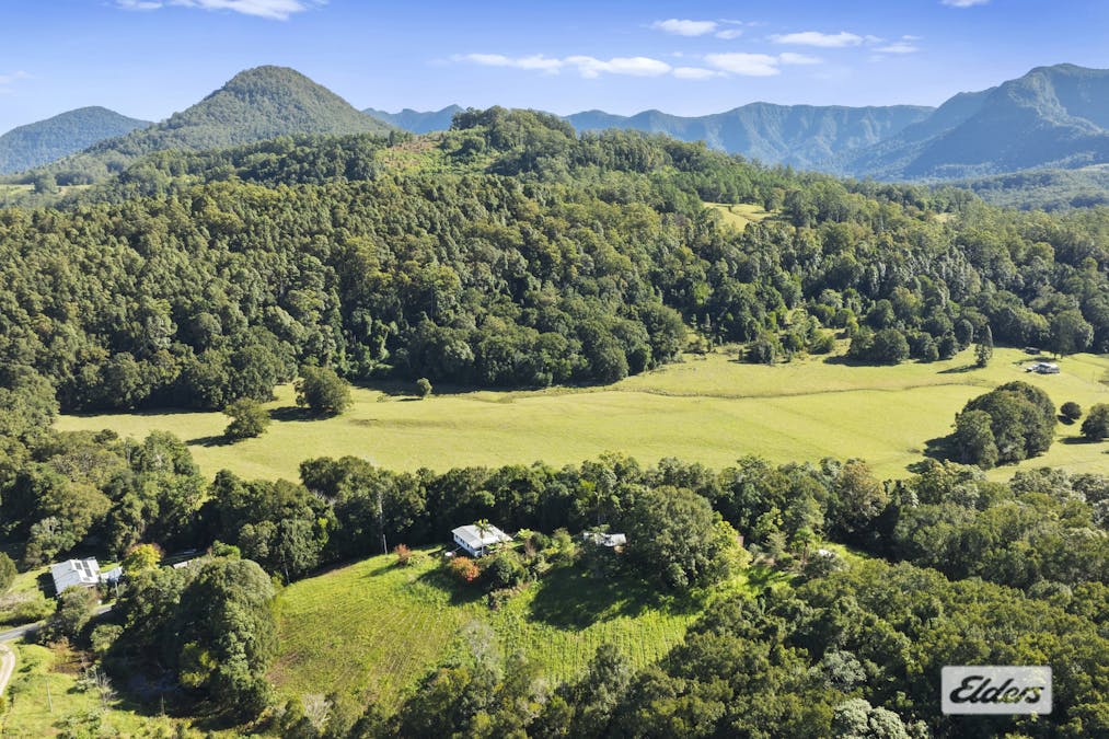 1678 Numinbah Road, Numinbah, NSW, 2484 - Image 18