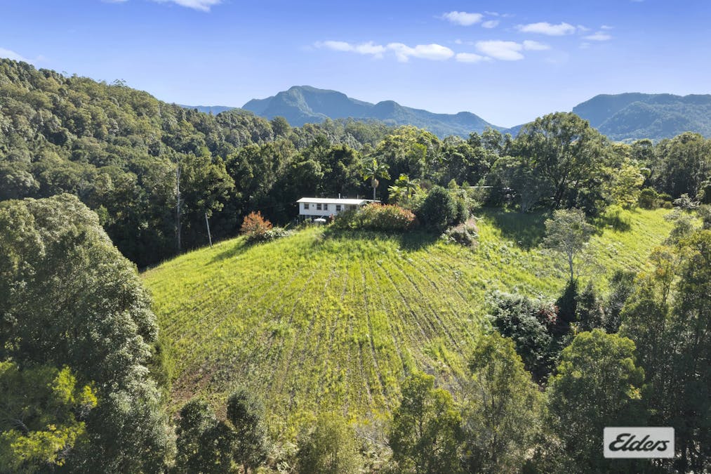 1678 Numinbah Road, Numinbah, NSW, 2484 - Image 19
