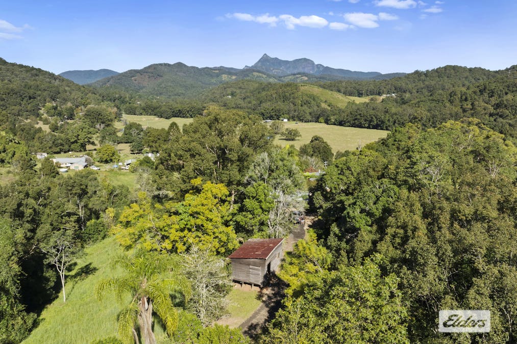 1678 Numinbah Road, Numinbah, NSW, 2484 - Image 20