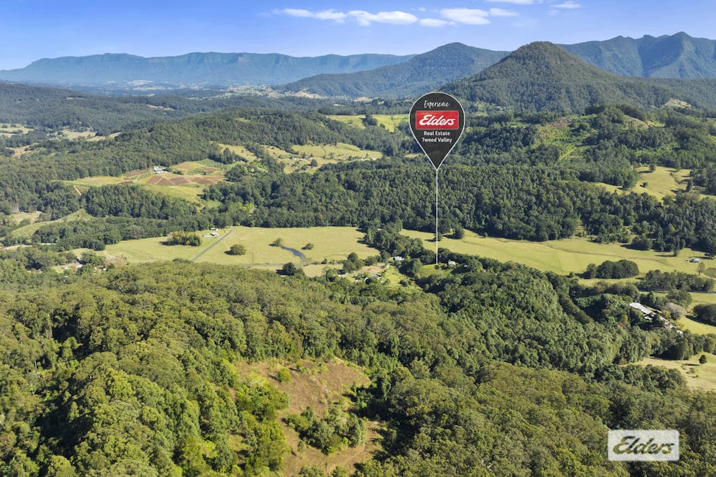 1678 Numinbah Road, Numinbah, NSW, 2484 - Image 21