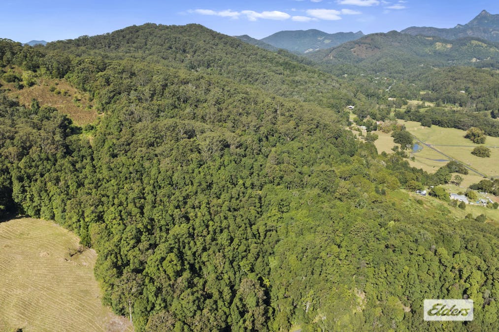 1678 Numinbah Road, Numinbah, NSW, 2484 - Image 22