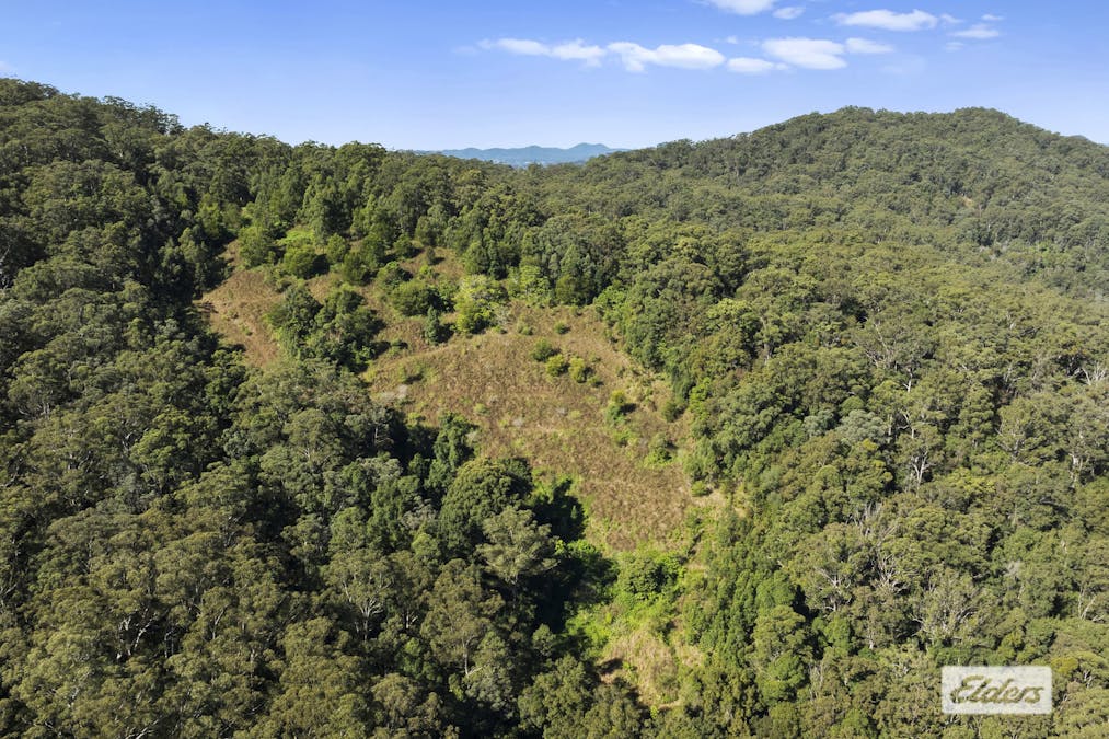 1678 Numinbah Road, Numinbah, NSW, 2484 - Image 23