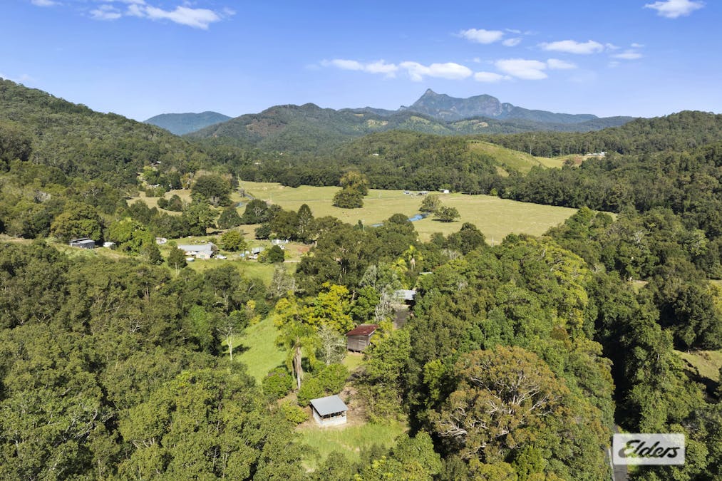 1678 Numinbah Road, Numinbah, NSW, 2484 - Image 24
