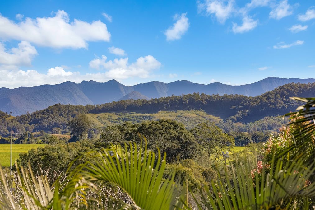 69 Ewing Street, Murwillumbah, NSW, 2484 - Image 5