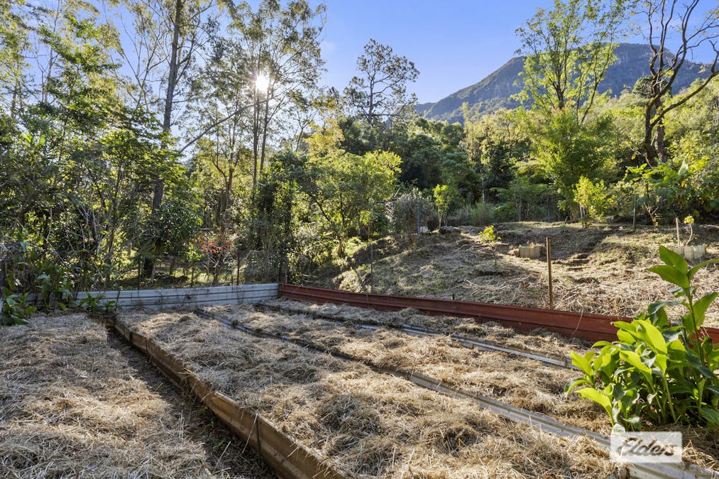 790 Hopkins Creek Road, Hopkins Creek, NSW, 2484 - Image 4