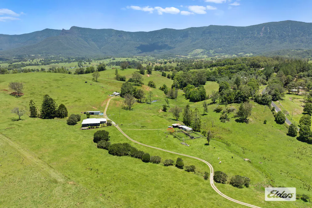 365 Tyalgum Creek Road, Tyalgum Creek, NSW, 2484 - Image 29
