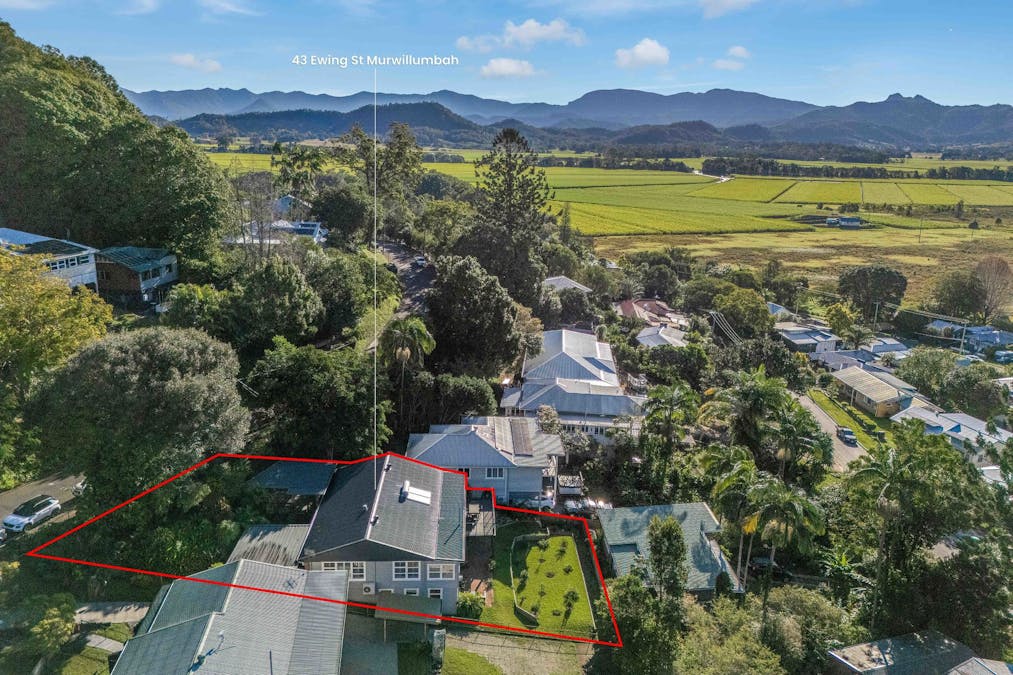 43 Ewing Street, Murwillumbah, NSW, 2484 - Image 25