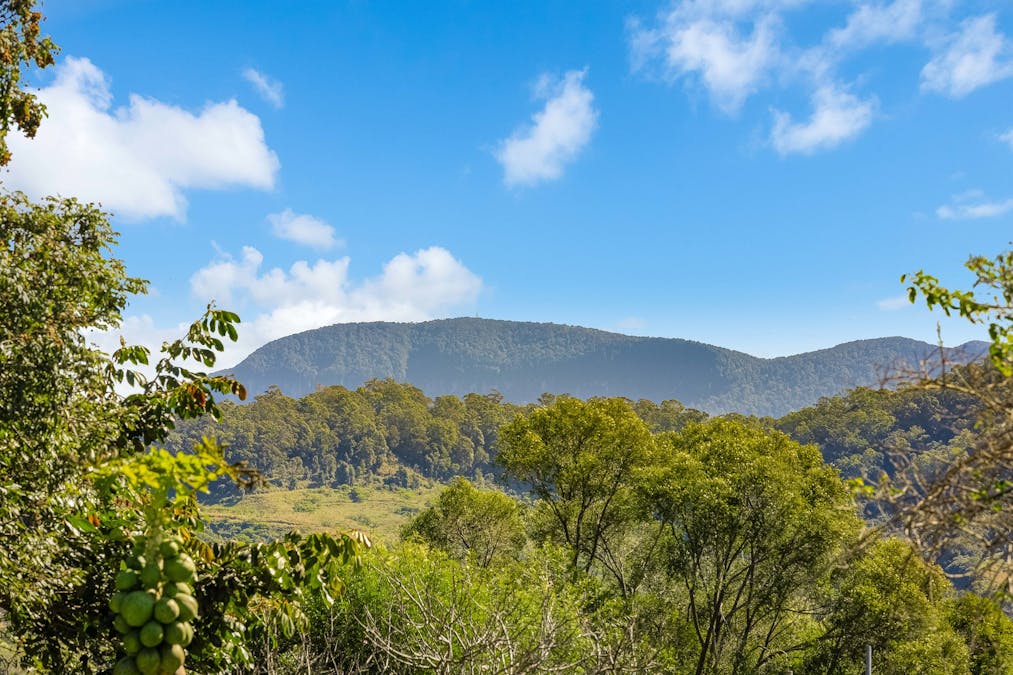 18 Frangela Drive, Murwillumbah, NSW, 2484 - Image 16