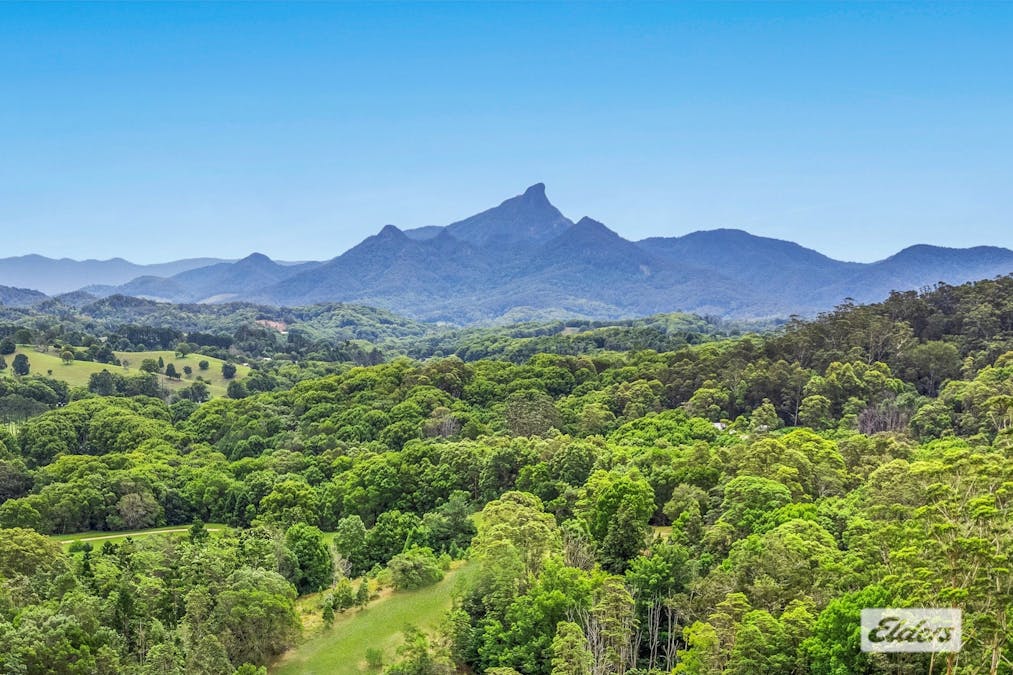 1269 Numinbah Road, Chillingham, NSW, 2484 - Image 19
