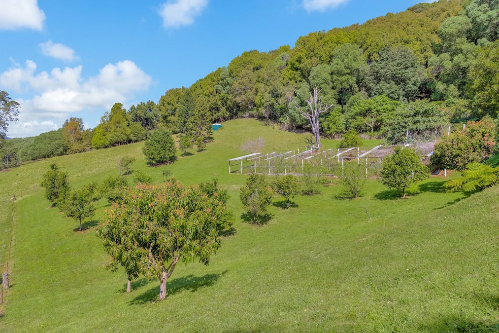 57 Glencoe Road, North Arm, NSW, 2484 - Image 9