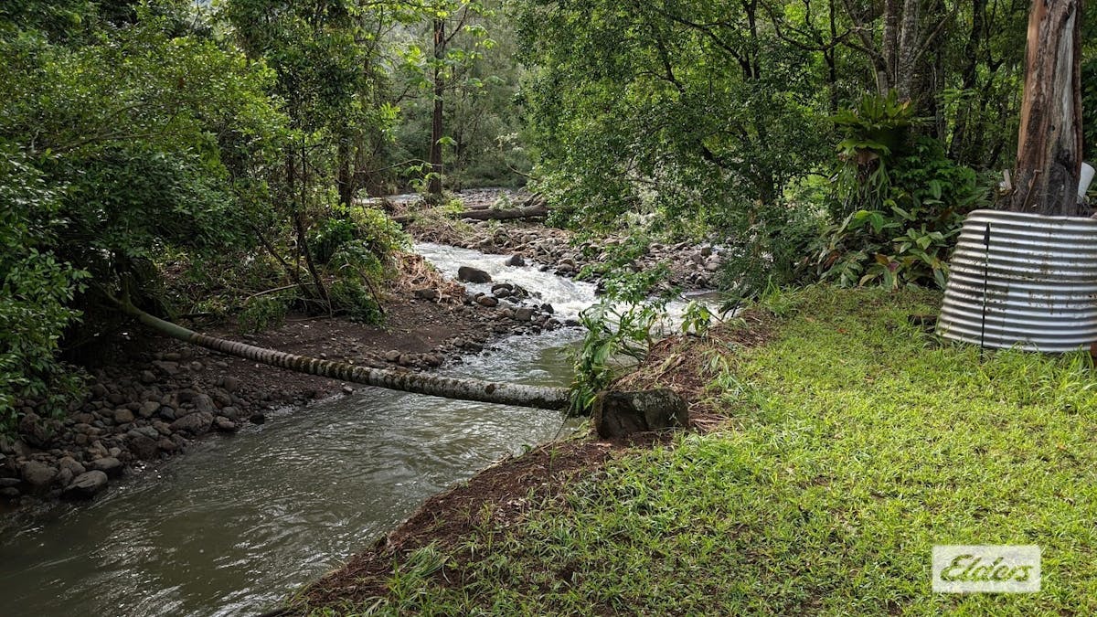 185  Stoddarts Road, Tyalgum Creek, NSW, 2484 - Image 15