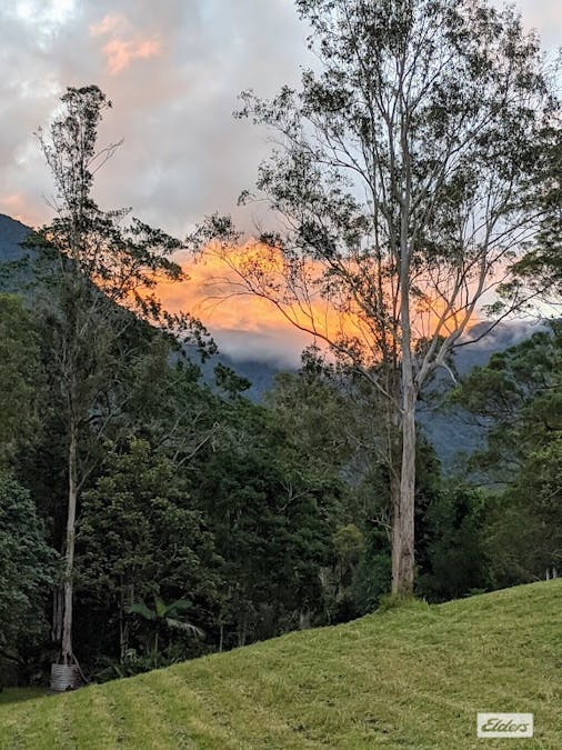 185  Stoddarts Road, Tyalgum Creek, NSW, 2484 - Image 24