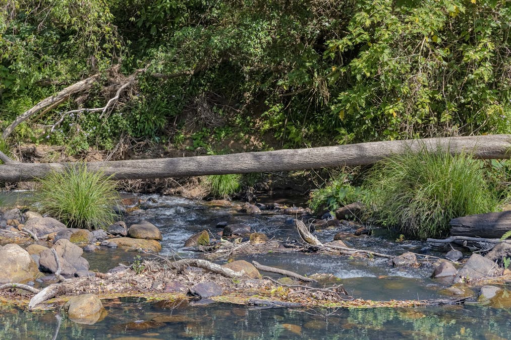 13 Bindaree Place, Chillingham, NSW, 2484 - Image 27