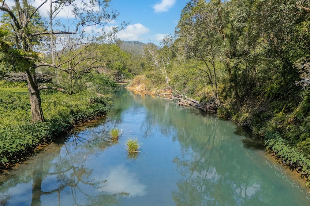 13 Bindaree Place, Chillingham, NSW, 2484 - Image 29